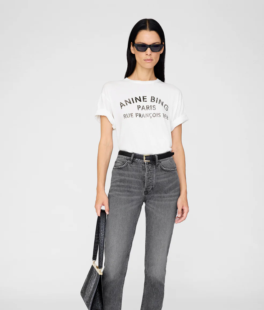 Anine Bing Cohen Tee Paris Tee