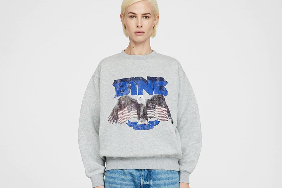 Anine Bing Vintage Sweatshirt nosix